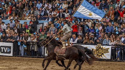 Más de 1 millón de visitantes le dijeron me gusta al campo argentino
