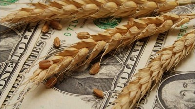 Vuelve a caer la liquidación de divisas del agro