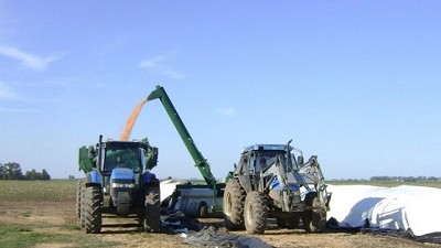 Hay US$ 20.000 millones guardados en los silobolsa