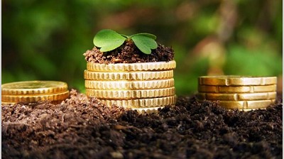 Economías regionales muestran vitalidad con un mayor valor exportado