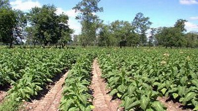 Agroecología: buena intención, pero sin soluciones mágicas, por Santiago del Solar