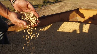 Perspectivas de oferta de soja norteamericana en agosto y su influencia en precios, por Iván Barbero