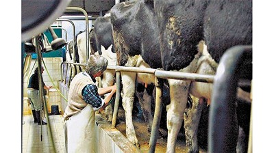 La producción mundial de leche suma resultados negativos en el año