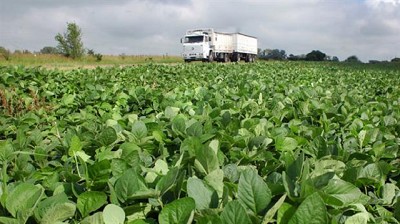 La pérdida de competitividad golpeó las expectativas del agro