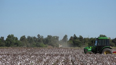 Importante avance para la fiscalización y protección de los usuarios de la semilla del algodón
