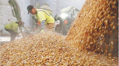 La retención de cosechas de Brasil y Argentina hace sufrir a grandes traders de granos