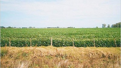 A pesar de los estímulos, el trabajo en el agro y minería está en los niveles de 2009