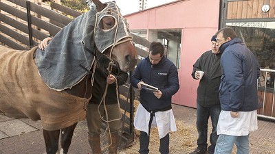 AIE: tomar las riendas de la sanidad