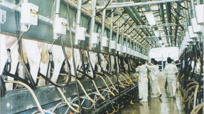 Supermercado del mundo: ¿es posible?, por José Demicheli