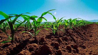 Nuevo Registro Fiscal de Tierras Rurales explotadas