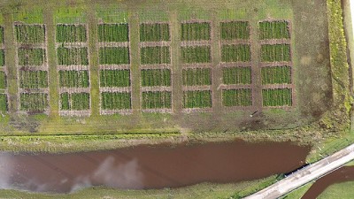 Integra crece y protege a más cultivos contra la sequía y la inundación