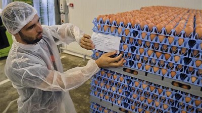 Crece en la UE el escándalo por miles de huevos contaminados