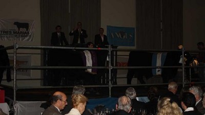 Tres Marías hizo un máximo de $ 1.100.000 en su subasta en la Rural