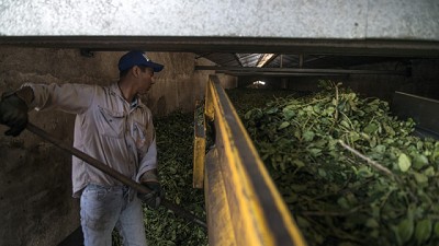 Agroindustria y el Instituto Nacional de Yerba Mate juntos por la calidad y transparencia en la cadena