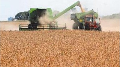 Los granos concluyeron mixtos en Chicago presionados por informe de USDA