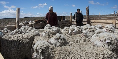 El 53,6% del agro ya es parte de la Ley PyMe