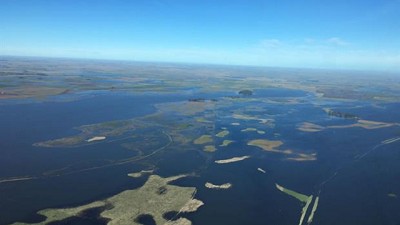En Daireaux la inundación no da tregua al campo y afecta la vida de todos