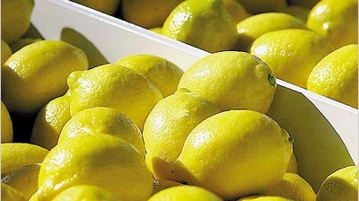 Oficial: los limones locales podrán ingresar al mercado norteamericano