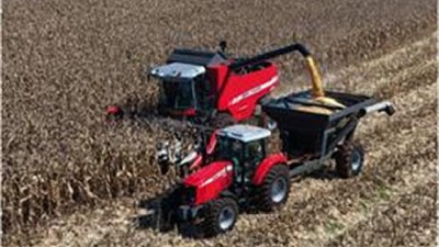 Granos: qué va a pasar con los precios del maíz y el trigo