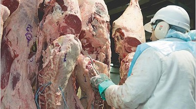 Creció en el año 7% el consumo de carne vacuna