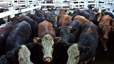 Leve mejora del precio de la hacienda