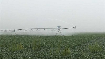 Cifras inciertas en EE.UU. sobre la situación de los cultivos, por Enrique Erize