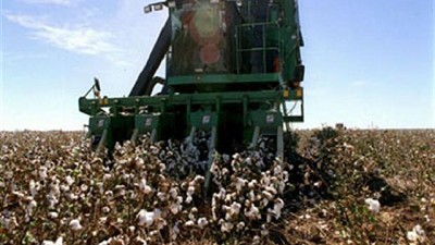 Algodón: se cierra un ciclo adverso
