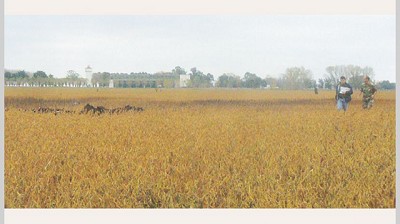 El registro fiscal de tierras rurales explotadas para propietarios y usufructuarios del sector agropecuario