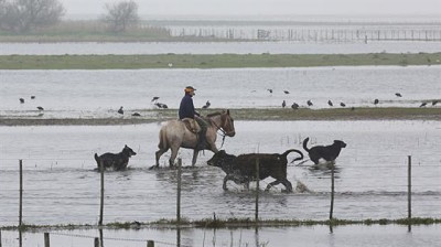 Bolívar: calculan pérdidas por $ 1523,1 millones por las inundaciones
