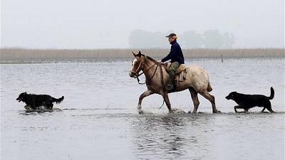 Las inundaciones provocan ventas forzadas y caídas en la producción