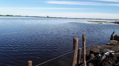 Qué dicen los productores sobre cómo impactan las inundaciones en Buenos Aires