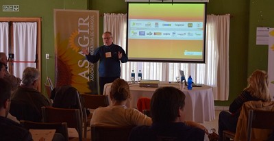 Manejo, el secreto del girasol en el sur de Buenos Aires