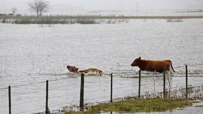 El gobierno bonaerense prevé pérdidas de hasta US$ 470 millones por las inundaciones, pero espera este mes avances en una obra clave