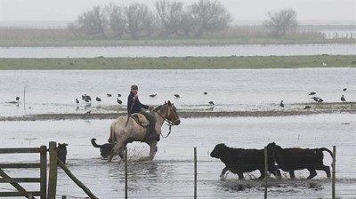 Acuerdan prorrogar la emergencia para Bolívar y otros partidos afectados por los excesos hídricos