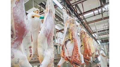 Por la demanda de China, en siete meses las exportaciones bovinas se dispararon el 24%