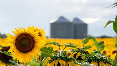 El agregado de valor de la agroindustria motoriza el crecimiento en diferentes regiones