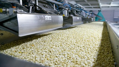 El agregado de valor de la agroindustria motoriza el crecimiento en diferentes regiones