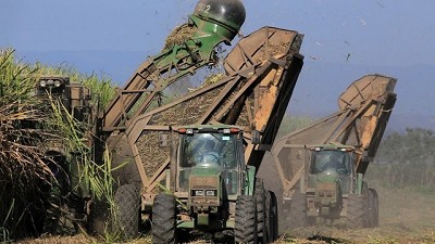 Ledesma absorbe una inversora y una productora de carnes y cereales