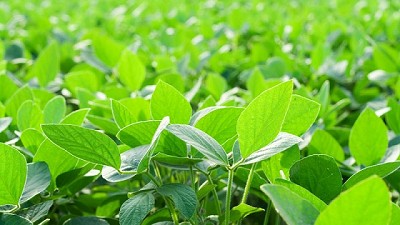 Riesgo Agropecuario, una mirada integral sobre clima y mercados