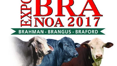 Ya llega la 11º edición de ExpoBRA