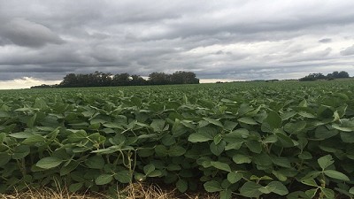 Se espera un fin de semana con lluvias en distintas zonas del país