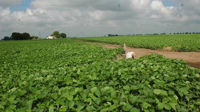 Menores retenciones, ¿mayores inversiones?