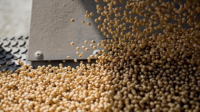 Qué puede pasar con la soja después del reporte del Departamento de Agricultura de Estados Unidos, por Iván Barbero