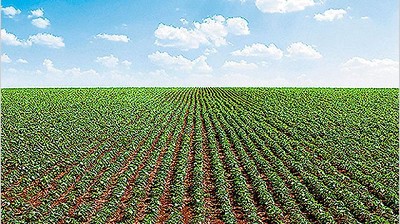 La venta de campos no se recupera y hay sobreoferta de terrenos