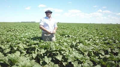 Tecnología y agro: el Big Data, la clave para ganar tiempo y dinero