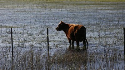 Las inundaciones ya afectan 10 millones de hectáreas del área productiva