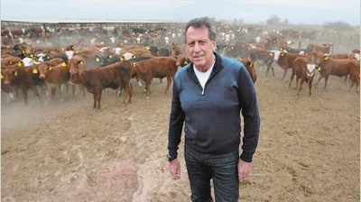 Brito buscará u$s 200 millones en Wall Street para darle más impulso a su negocio ganadero