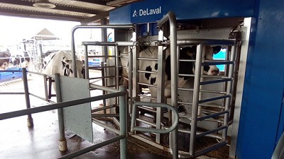 Mercoláctea 2017: cuatro visitas diarias al tambo robotizado De Laval