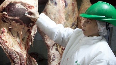 Avances en la fiscalización inteligente en plantas de faena