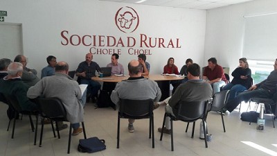 Diseño del plan de control y erradicación de la brucelosis en Río Negro